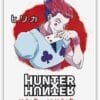 magnet hisoka
