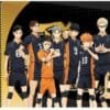 Black Ticket Karasuno