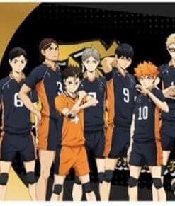 Black Ticket Karasuno