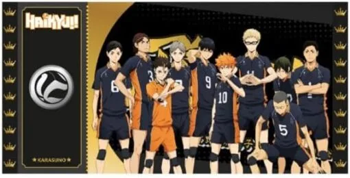 Cartoon Kingdom - Black Ticket Haikyu!! - Karasuno
