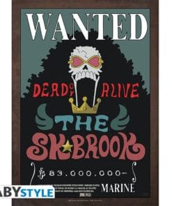 poster brook one piece