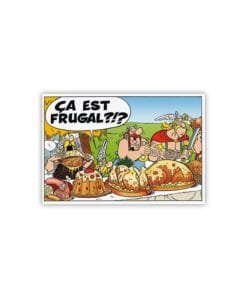 Alternative view of ASTERIX Magnet FRUGAL