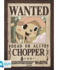 poster chopper one piece