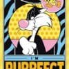 Looney Tunes - TV Show/Comic Poster (Sylvester The Cat: I'm Purrfect)91,5 X 61 cm