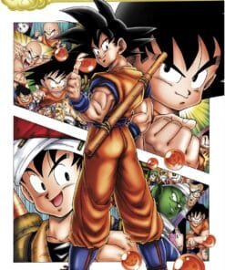 Alternative view of ABYstyle - DRAGON BALL - Poster Son Goku story (91.5x61)