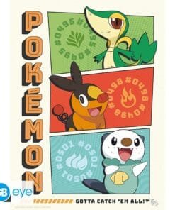 Alternative view of POKEMON Portfolio 9 posters Starters (21 x 29,7 cm)